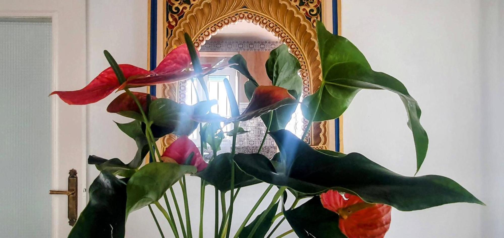 La Casilla Villa Cajar Luaran gambar